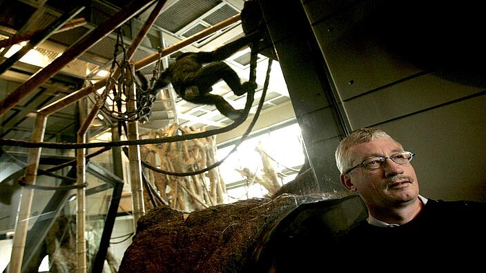 Über dem Kopf von Biologe und Primatenforscher Frans de Waal turnt ein Affe auf einem Seil.